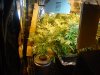 06-12-10_Crowded.jpg