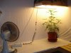 DSC04819.jpg