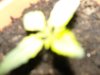 SN201130.jpg