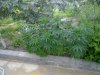 06062010035.jpg