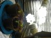 DSCF1468.jpg