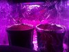 16062010494.jpg