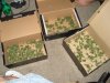 DSC03315.jpg