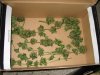DSC03317.jpg
