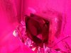 DSC04598a.JPG
