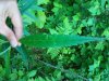 100_0717.jpg 100_0717.jpg