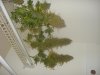 DSC01594.jpg