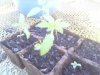 IMAGE_080.jpg