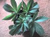 03-21-08_0934.jpg
