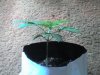 03-21-08_0937.jpg