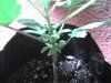 03-21-08_0939.jpg