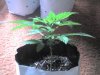 03-21-08_0941.jpg