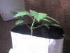 03-21-08_0943.jpg