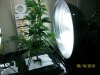 100_2085.jpg