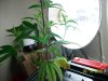 100_2076.jpg