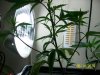 100_2077.jpg