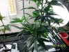 100_2071.jpg