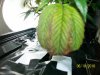 100_2081.jpg
