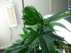 100_2064.jpg