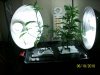 100_2086.jpg