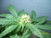 100_1200.jpg