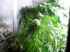 100_1203.jpg