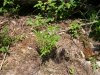 100_4206.jpg