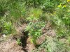 100_4187.jpg