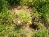 100_4195.jpg