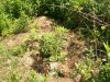 100_4185.jpg