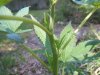 DSCF4853.jpg