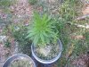 DSCF4858.jpg