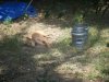 DSCF4805.jpg