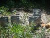 DSCF4808.jpg