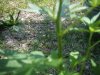 DSCF4812.jpg