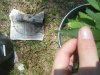 DSCF4816.jpg