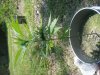 DSCF4819.jpg