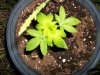 100_0041.jpg
