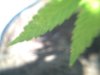 PICT0030.jpg