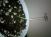 2010-06-23 20.23.48.jpg