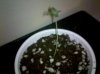 2010-06-23 20.27.52.jpg