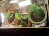 2010-06-21 16.17.38.jpg