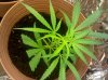 2010-06-24 10.50.47.jpg