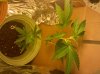 2010-06-24 10.51.38.jpg