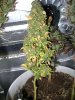DSC01641.jpg