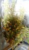 DSC01671.jpg
