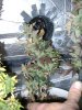 DSC01642.jpg