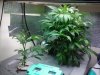 2010-06-24 04.50.09.jpg