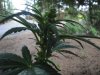 DSC00840.jpg