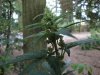 DSC00838.jpg